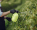 Singlif 360 SL : le désherbant professionnel 20L le plus efficace ? Test complet 2025