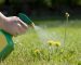 https://jardin-eco.fr/product-category/desherbants/